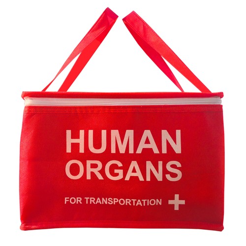 Human organs cool bag - organs, school